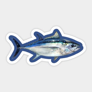 Bigeye Tuna Sticker